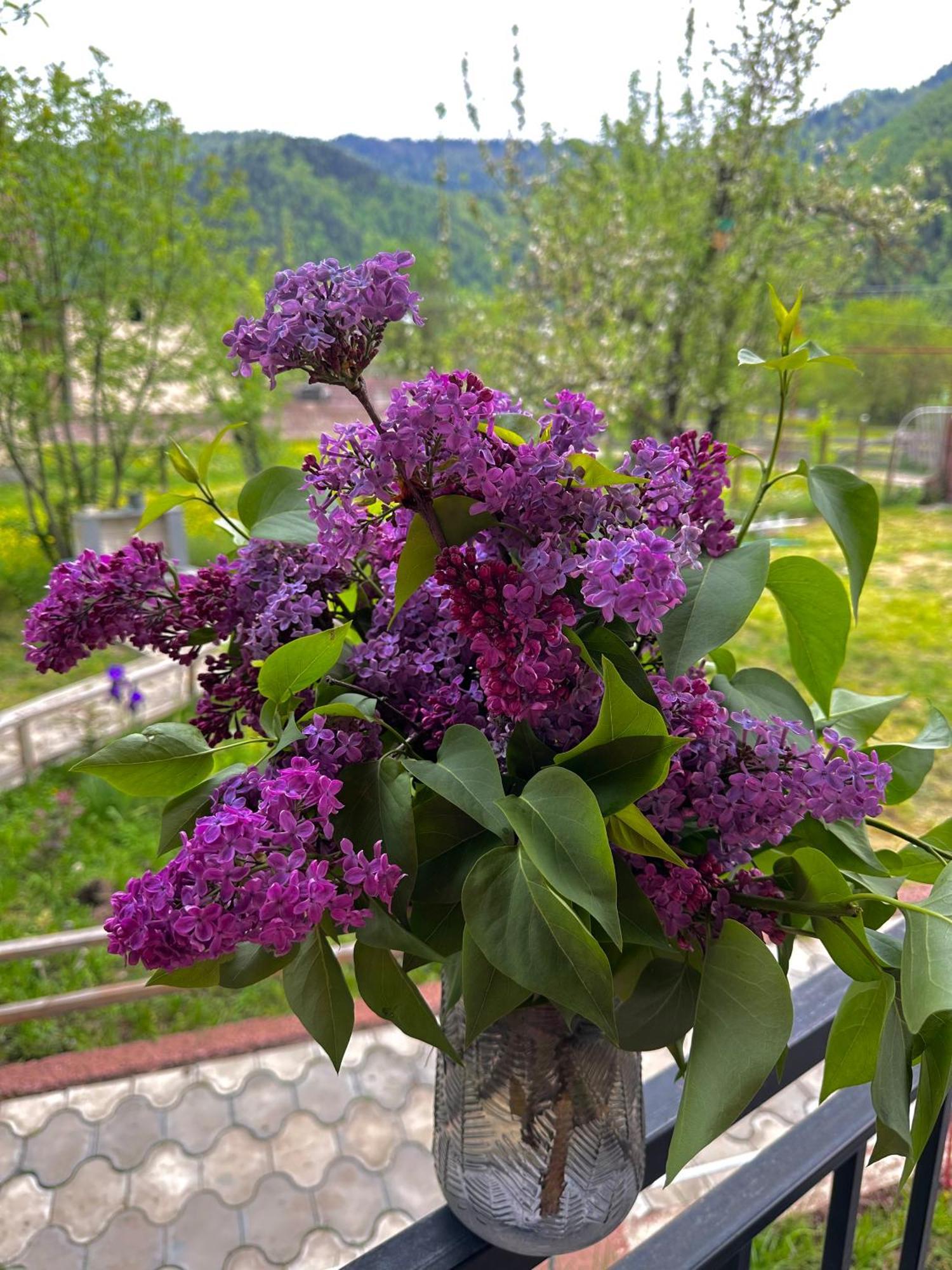 Green Mountain Borjomi Exterior photo